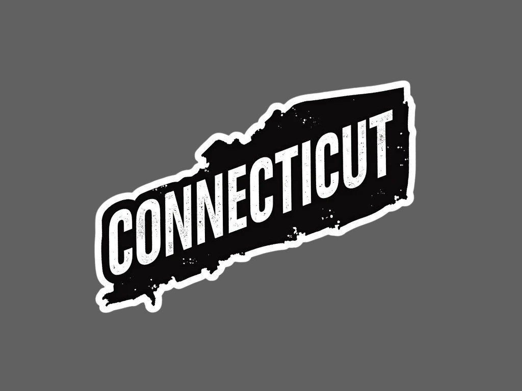 Connecticut Sticker Vinyl Decal State Outline Distressed Black Car Laptop