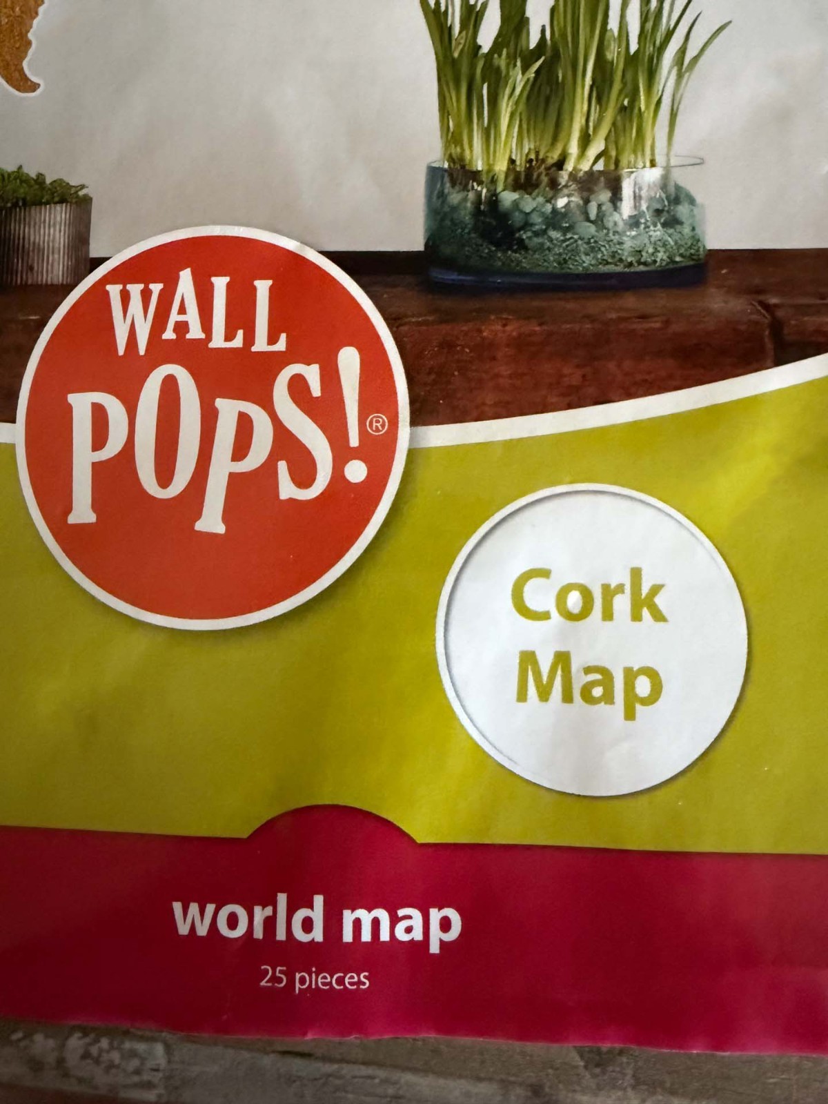 WallPops Cork World Map Wall Decal 25 Pc Peel Stick Bulletin Board Travel Pin Ma