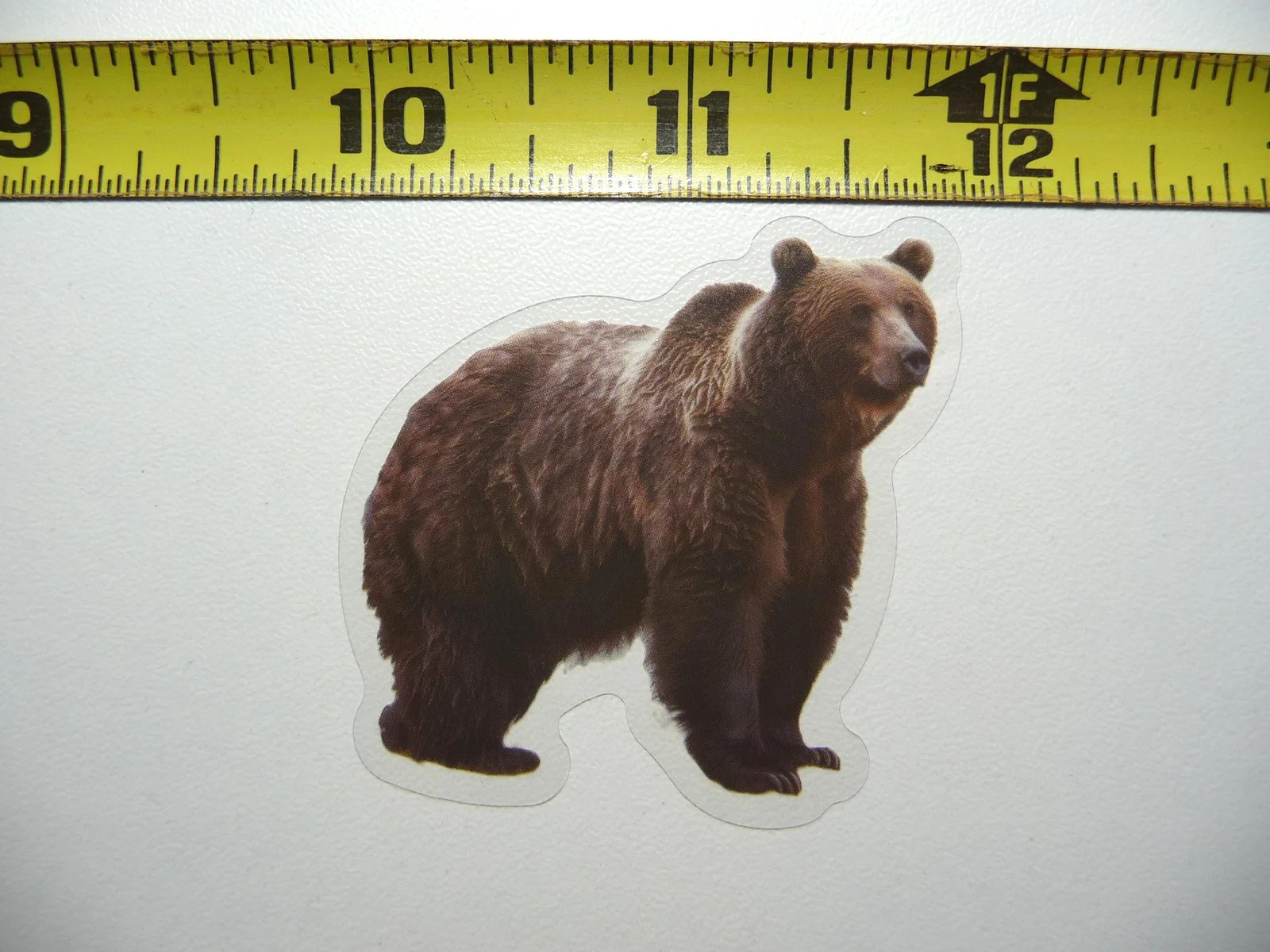 GRIZZLY BEAR SMALL STICKER DECAL WILDLIFE COLORFUL ZOO FUNNY
