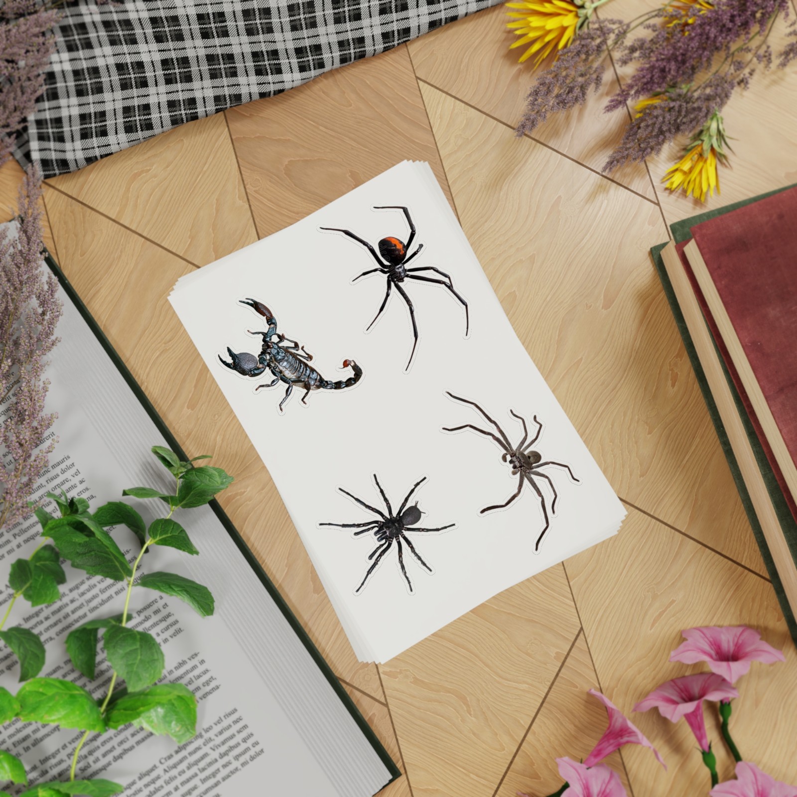 Aussie Spiders Sticker Bundle, Value Pack of 20 Stickers for Laptops, Journals,