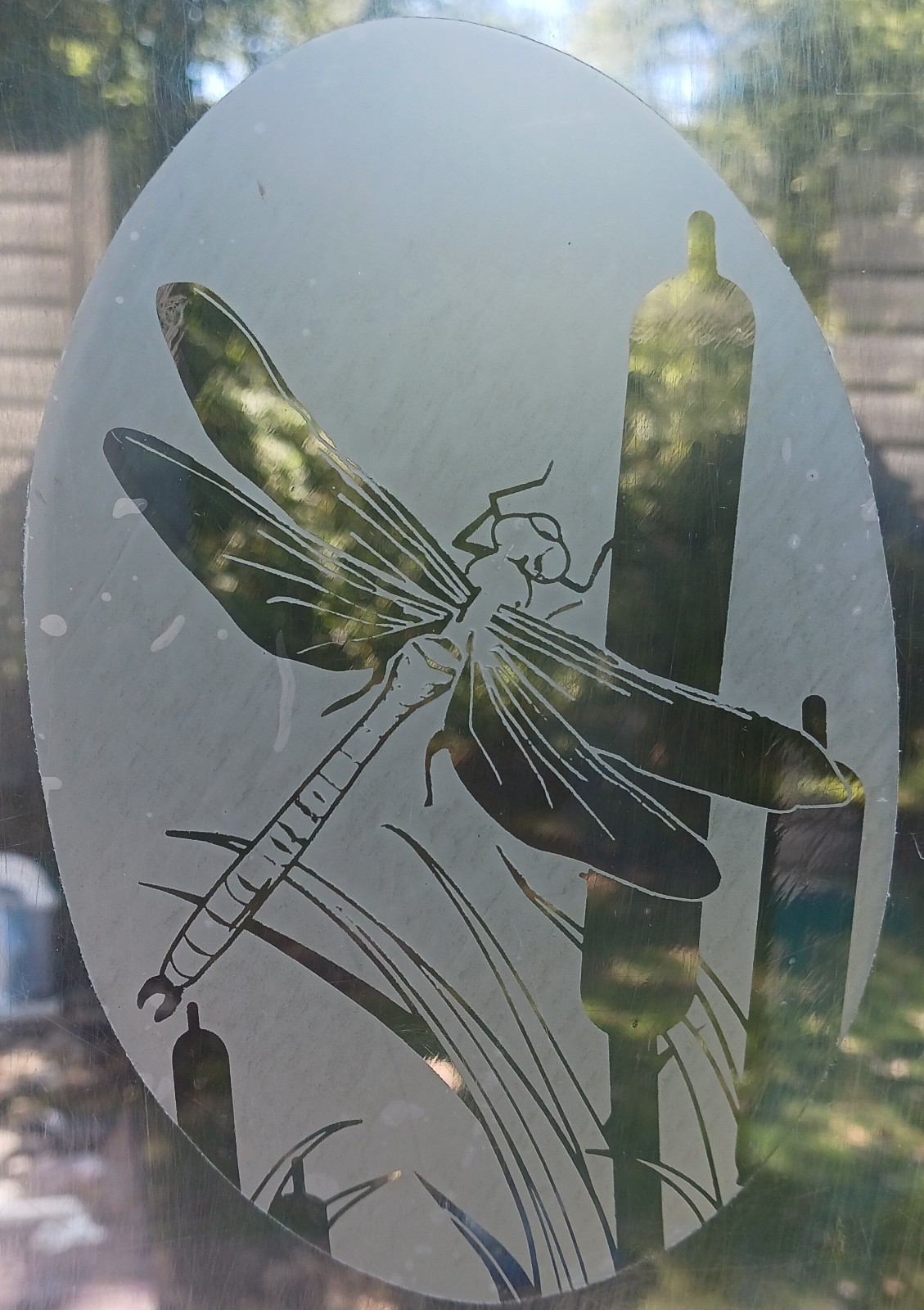 Dragonfly Decal 4″x6″ OVAL Etched Glass Look Cling Removable & Reusable 22