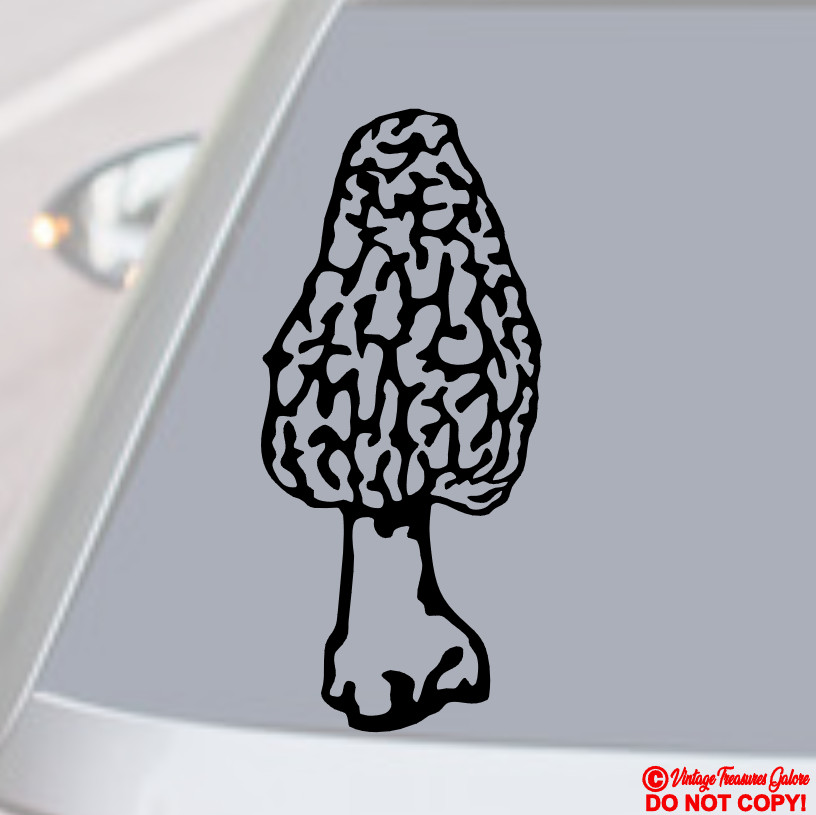 MORCHELLA TRUE MOREL MUSHROOM Vinyl Decal Sticker Car Truck Window Wall Bumper