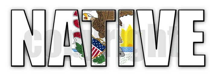 Illinois Native Flag Stickers Illinois Flag Decals Illinois Flag Stickers