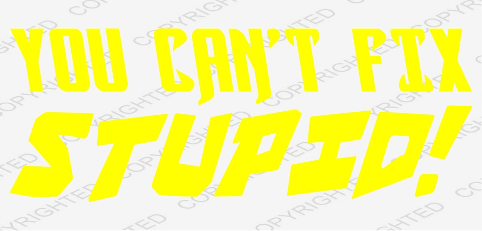 You Can’t Fix Stupid Die Cut Vinyl Decal Funny Car Truck Window Laptop Toolbox