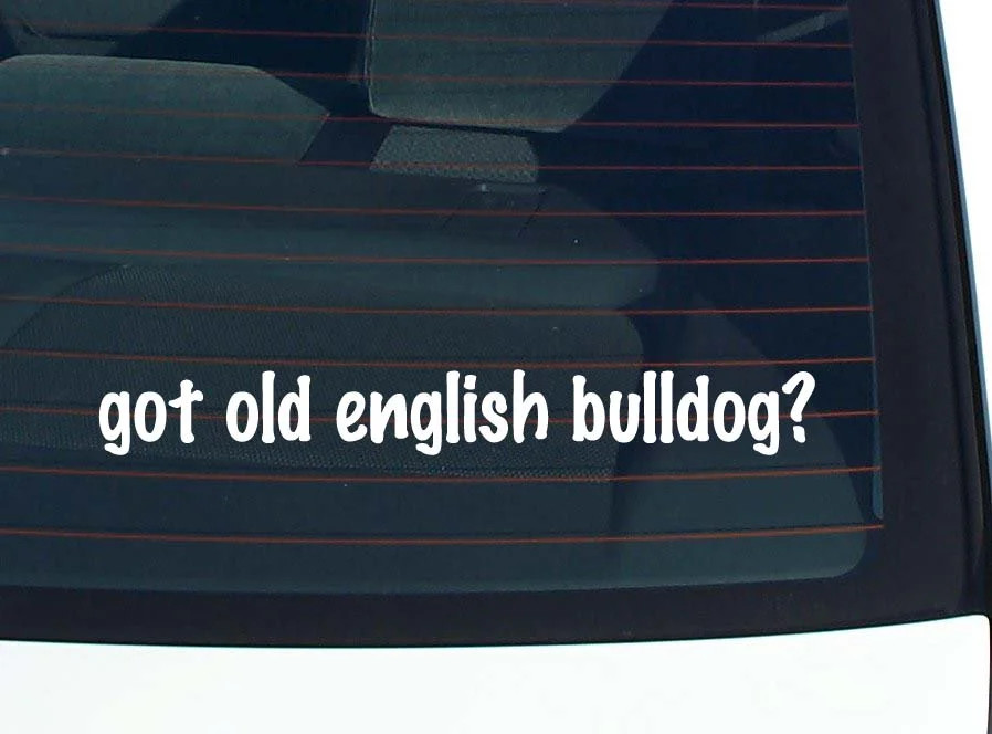 got old english bulldog? CAR DECAL BUMPER STICKER VINYL FUNNY JOKE WINDOW