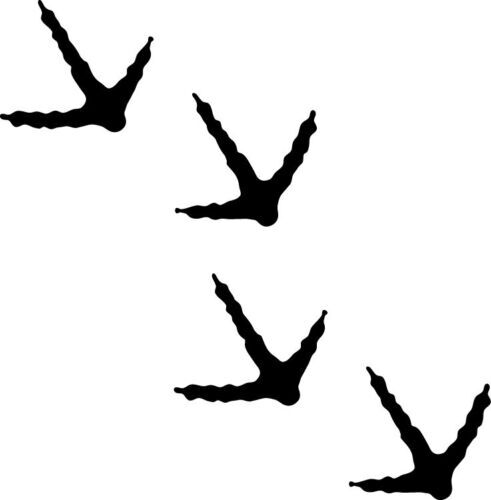 Turkey Tracks Decals Sticker Hunting FREE SHIP!