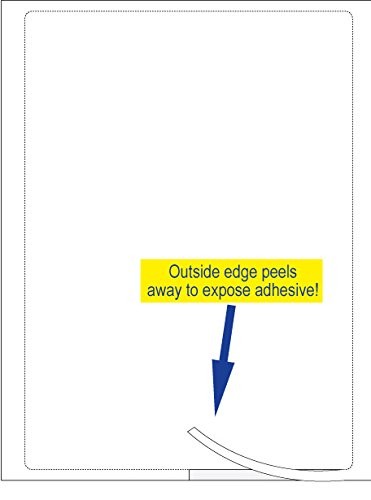 Plain White Addendum Car Window Stickers with Adhesive (Blank) 250 Qty. (8.5