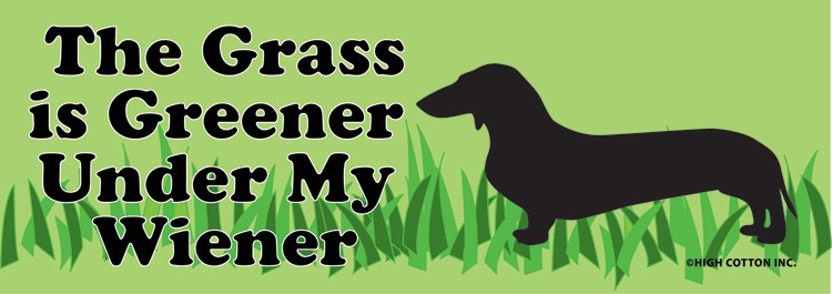 “The Grass is Greener Under My Wiener” 😂🌭 LOL Bumper Car Magnet | Made in USA
