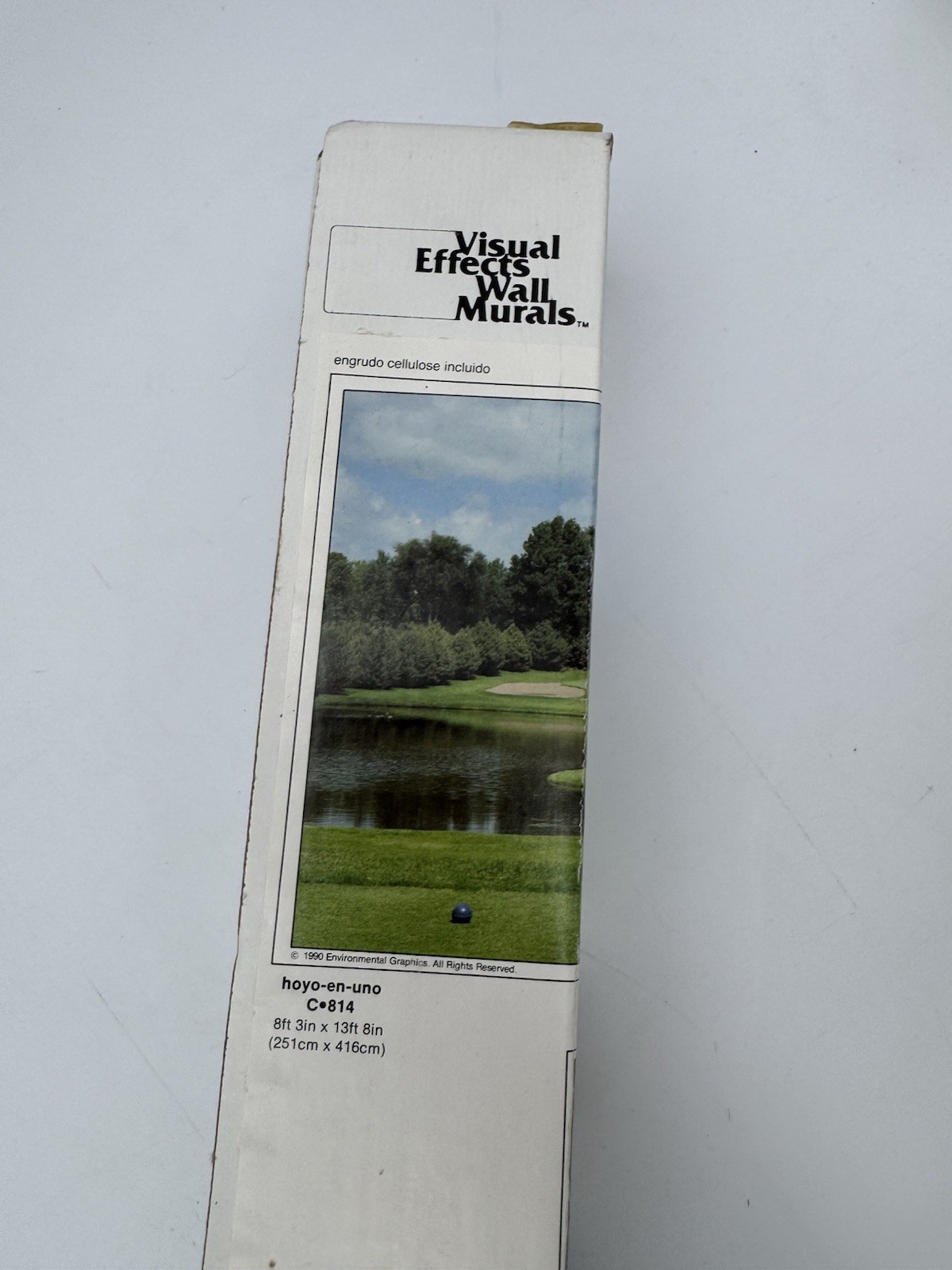 Visual Effects Wall 90s Mural Golf Hole in One Over The Pond Sand Trap Hole 8×13