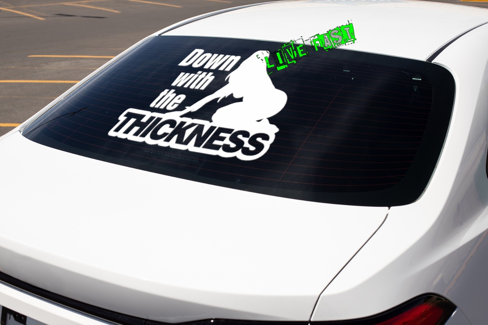 DOWN WITH THE THICKNESS DECAL STICKER BBW CHUBBY CHASER THICK THIGHS WOMAN