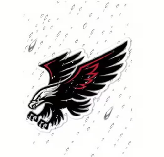 Soaring Hawk Vinyl Decal Sticker- Matte End, Self-Adhesive Dynamic Hawk Design|