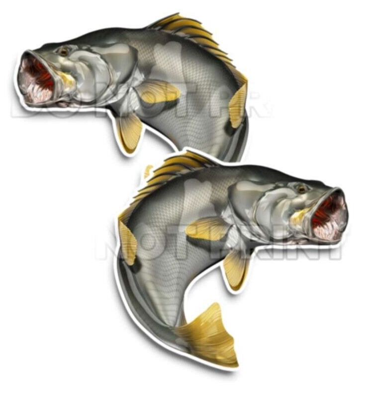 Barramundi Fish Decals Fishing Stickers Asian Sea Bass Giant Sea Perch 2pack 131