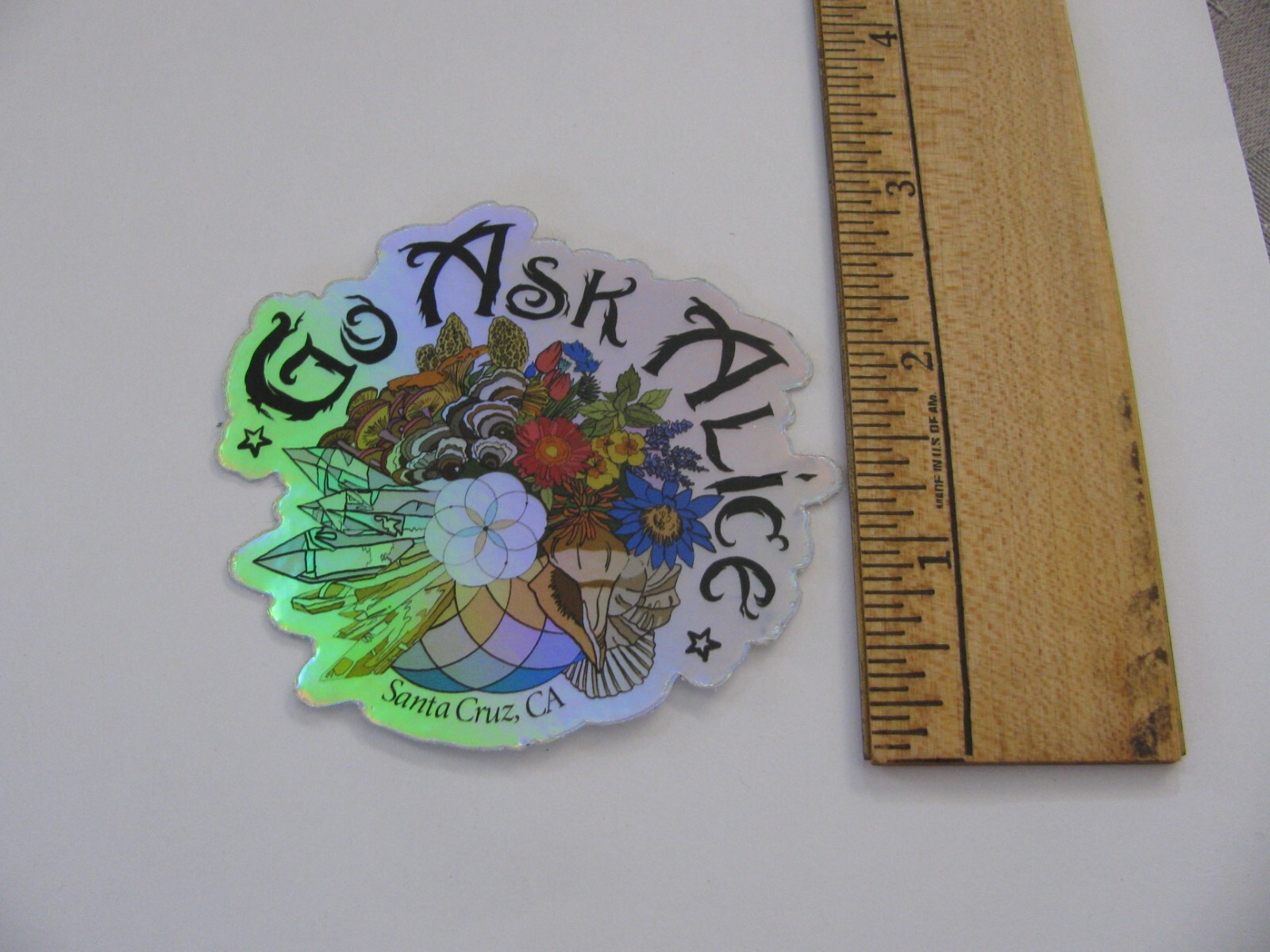 GO ASK ALICE Santa Cruz Ca Tea Shop Sticker