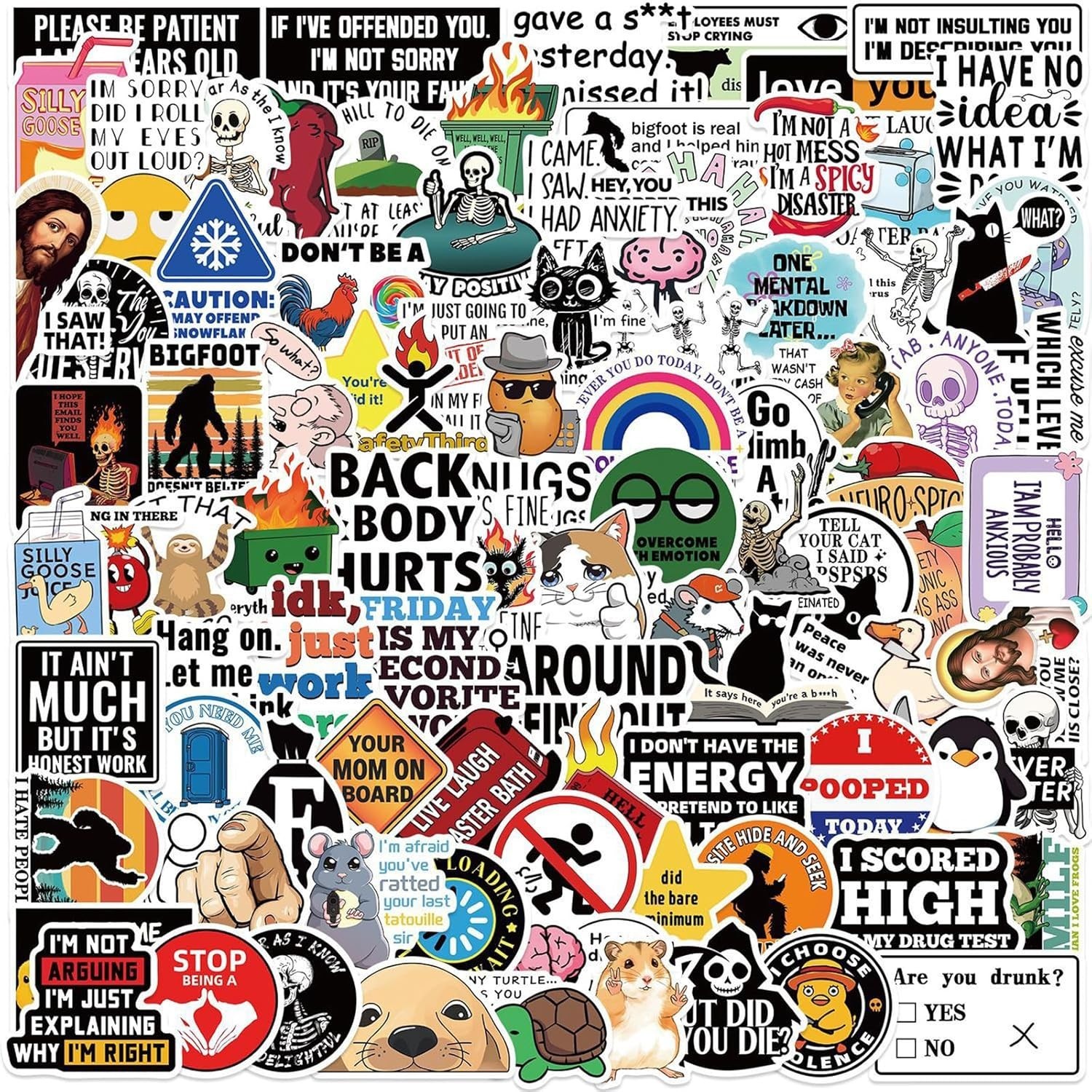 100 Pcs Funny Stickers for Adults (Dirty) Meme Water Bottles Sticker Pack Waterp