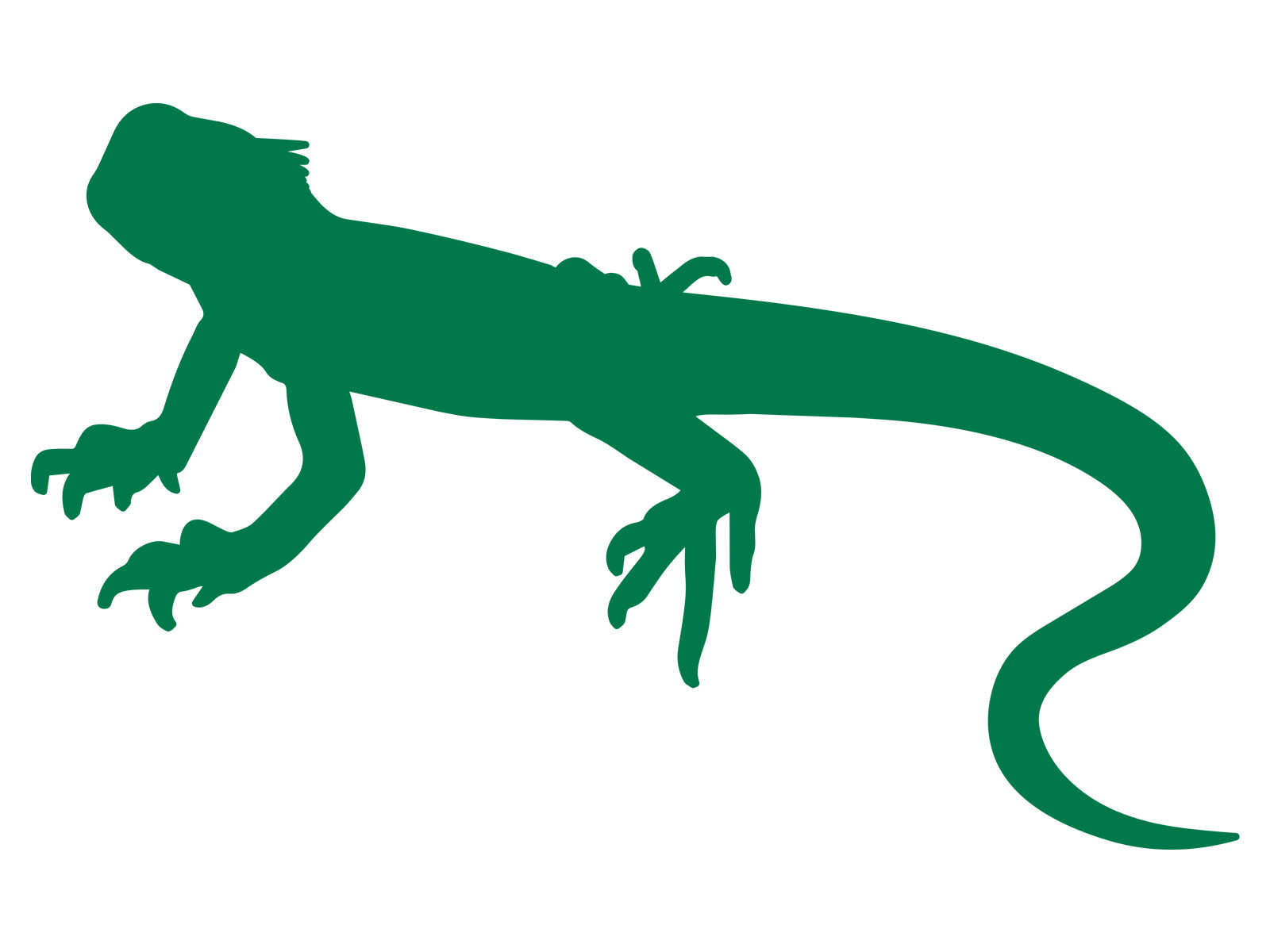 Iguana Reptile Lizard Cute Vinyl Decal Car Bottle Vehicle Tumbler Sticker