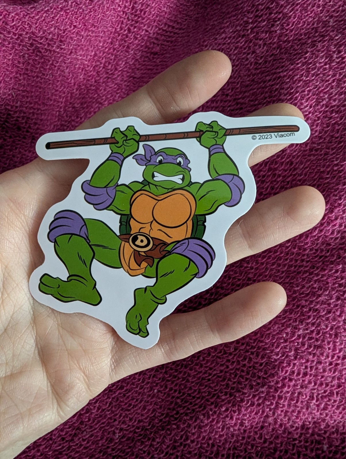 Teenage Mutant Ninja Turtles, TMNT, Vinyl Sticker, Donatello