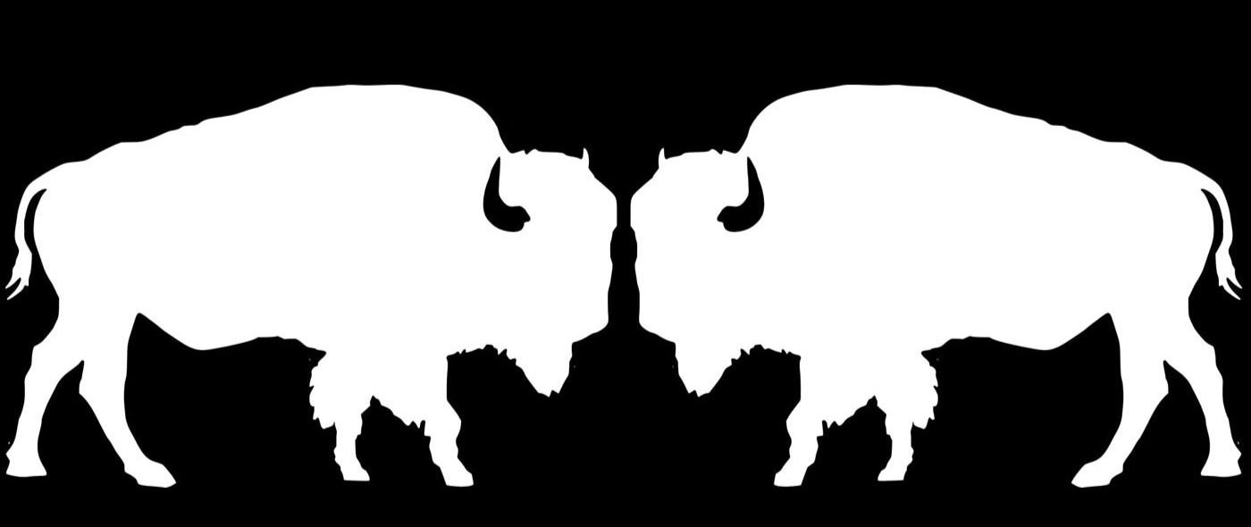Bison Buffalo Two5″ Decal Car Truck Tumblers Laptop Windows Any Flat Surface