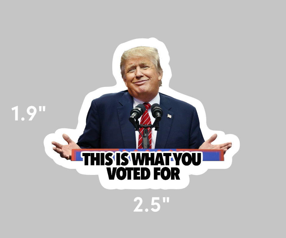 Trump Sticker -“This is What You Voted For” Anti-Trump Political Meme – 12 pack