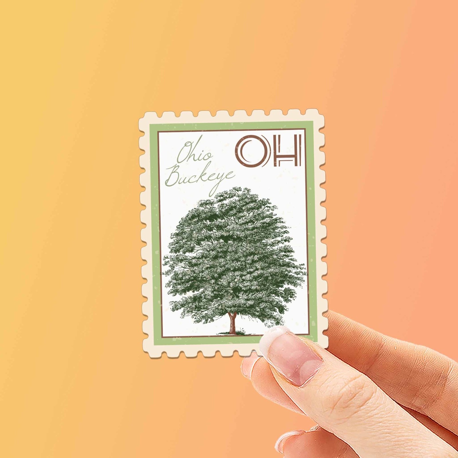 Ohio State Tree Buckeye Sticker – OH Vintage Stamp Decal