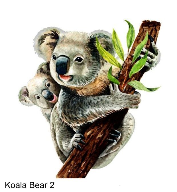 LARGE-SIZED CAR DECALS – KOALA BEAR – 2 CHOICES