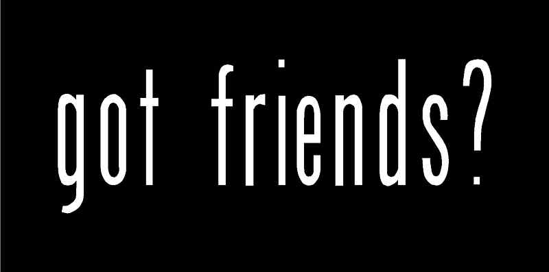 got friends? Vinyl Decal 7″ x 2.5″ (11 Colors)
